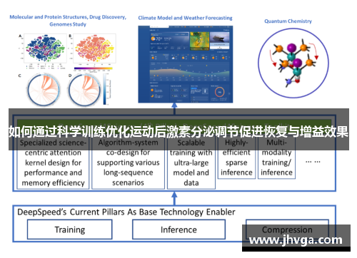 如何通过科学训练优化运动后激素分泌调节促进恢复与增益效果